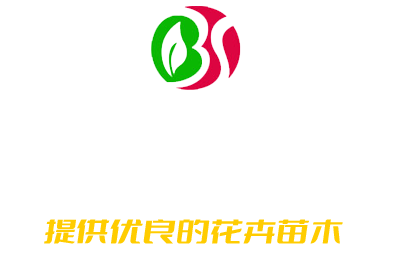 青州市百世花卉苗木专业合作社